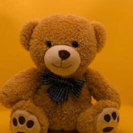 CuddleBuddy Souvenir Bear – Soft & Charming